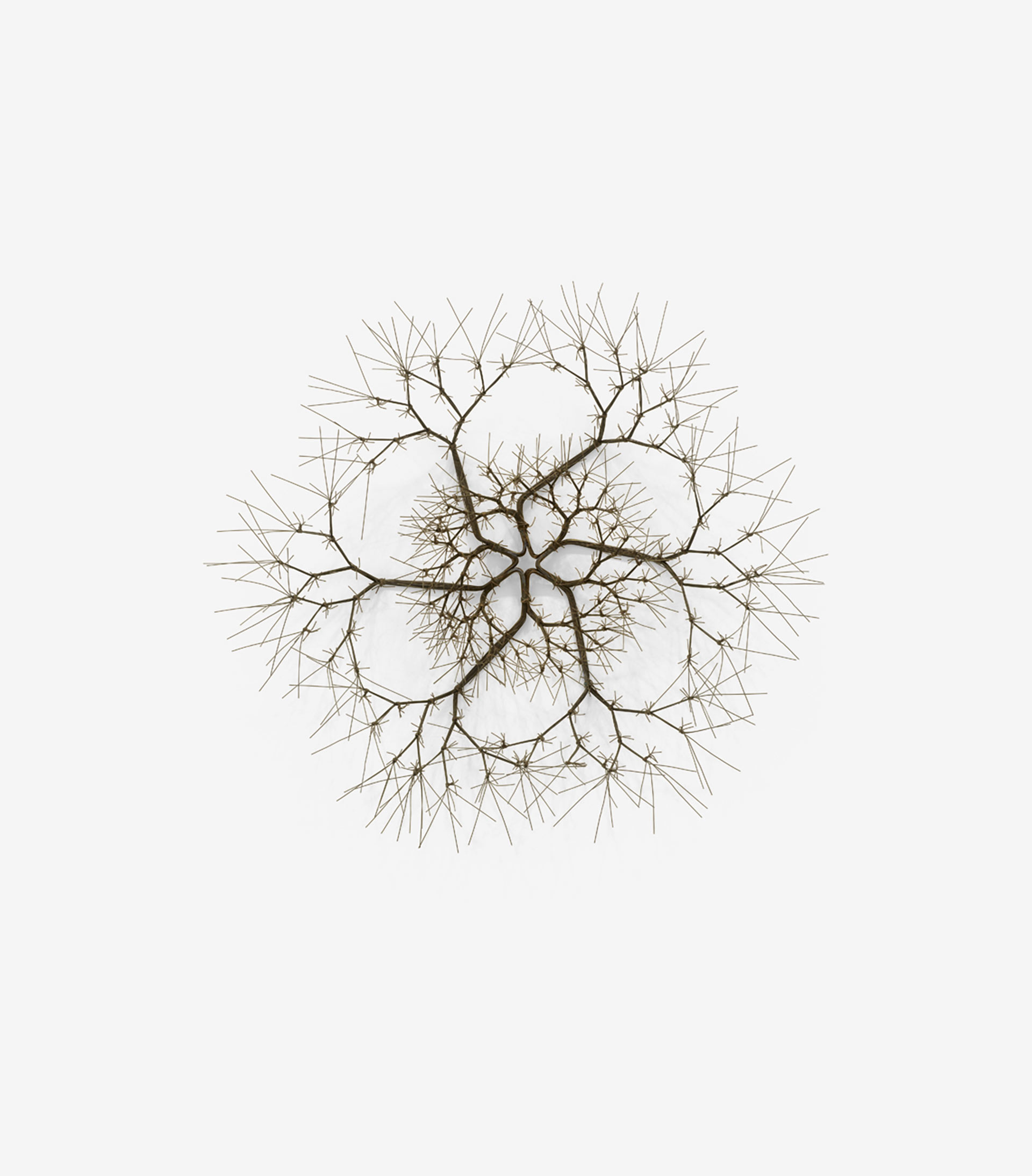 TAG_Tirudiak_VALUE